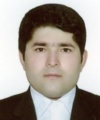 مرتضی زارع برمی